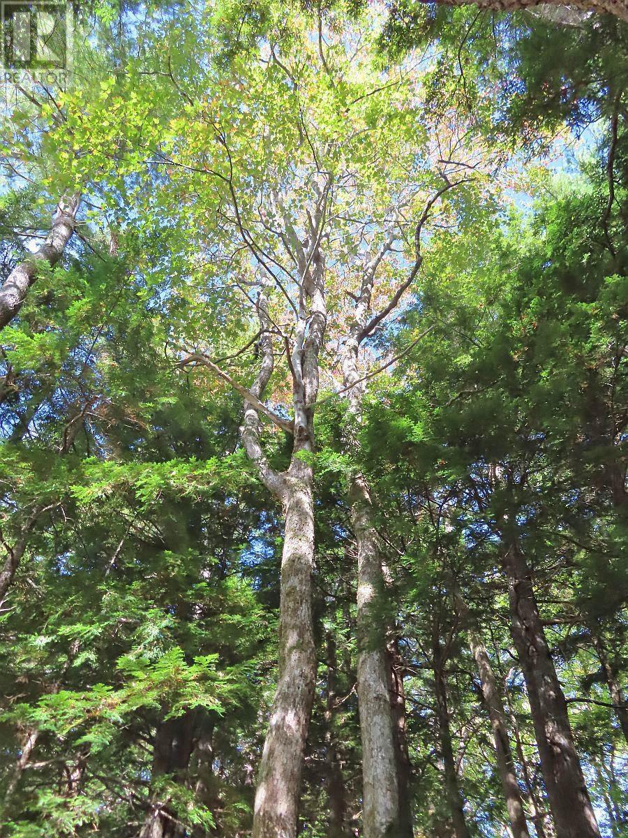 Lorem Ipsum Dolor Si, Malagawatch, Nova Scotia  B0E  - Photo 13 - DEMO25195563