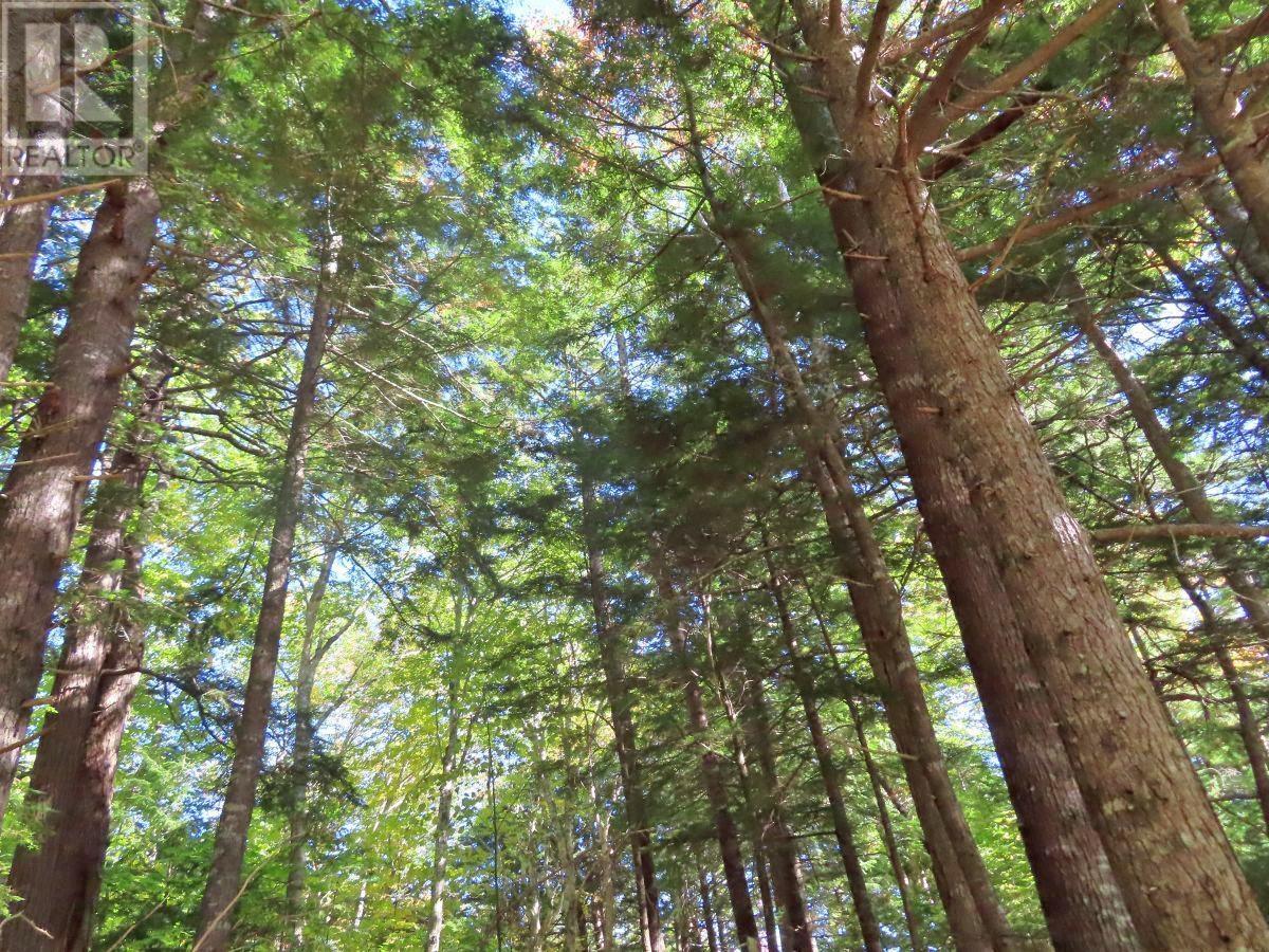 Lorem Ipsum Dolor Si, Malagawatch, Nova Scotia  B0E  - Photo 14 - DEMO25195563