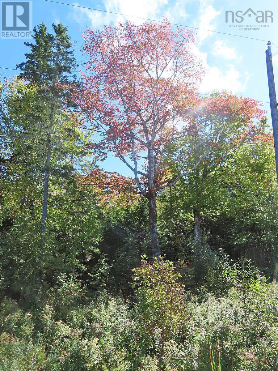 Lorem Ipsum Dolor Si, Malagawatch, Nova Scotia  B0E  - Photo 16 - DEMO25195563