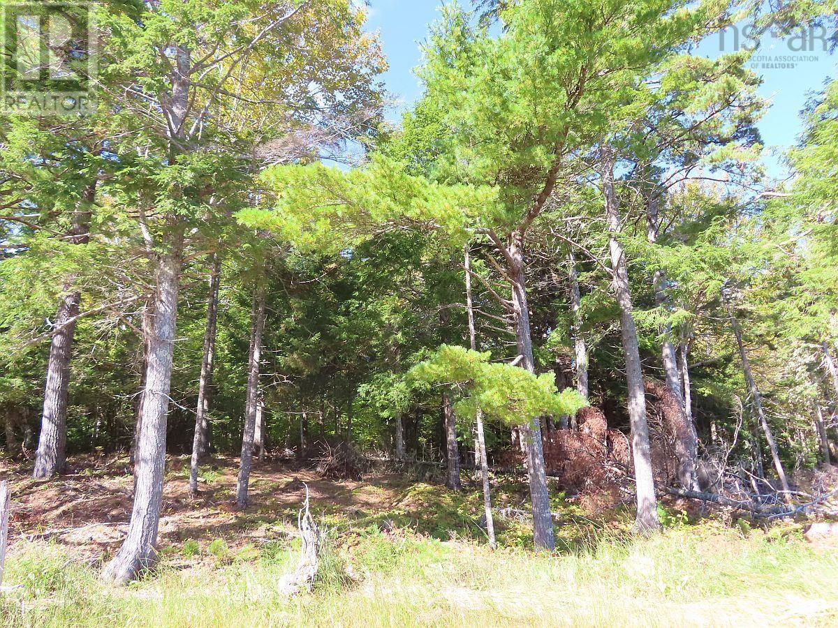 Lorem Ipsum Dolor Si, Malagawatch, Nova Scotia  B0E  - Photo 6 - DEMO25195563