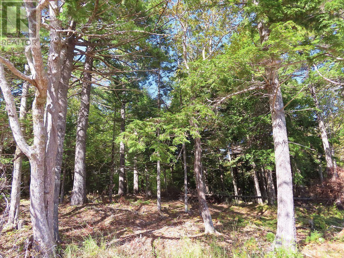 Lorem Ipsum Dolor Si, Malagawatch, Nova Scotia  B0E  - Photo 7 - DEMO25195563