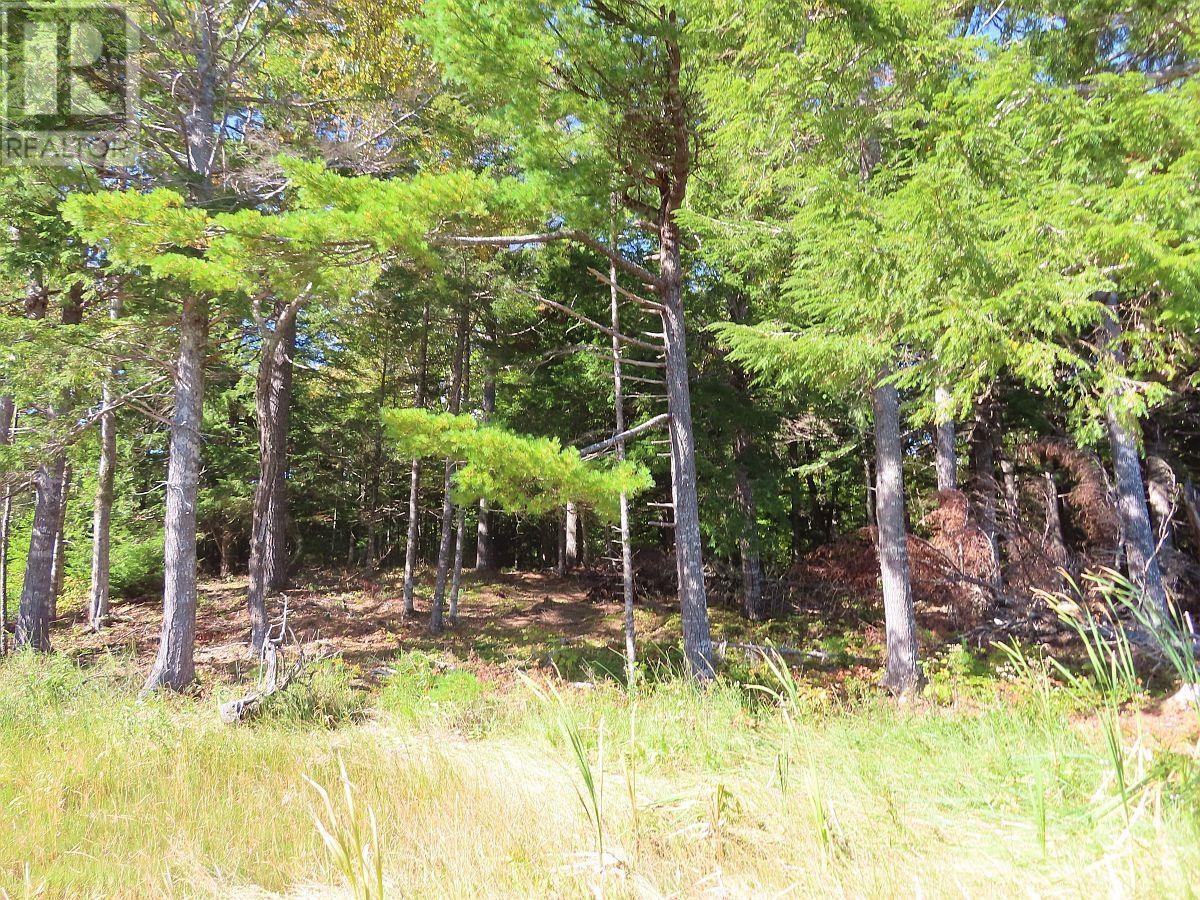 Lorem Ipsum Dolor Si, Malagawatch, Nova Scotia  B0E  - Photo 8 - DEMO25195563