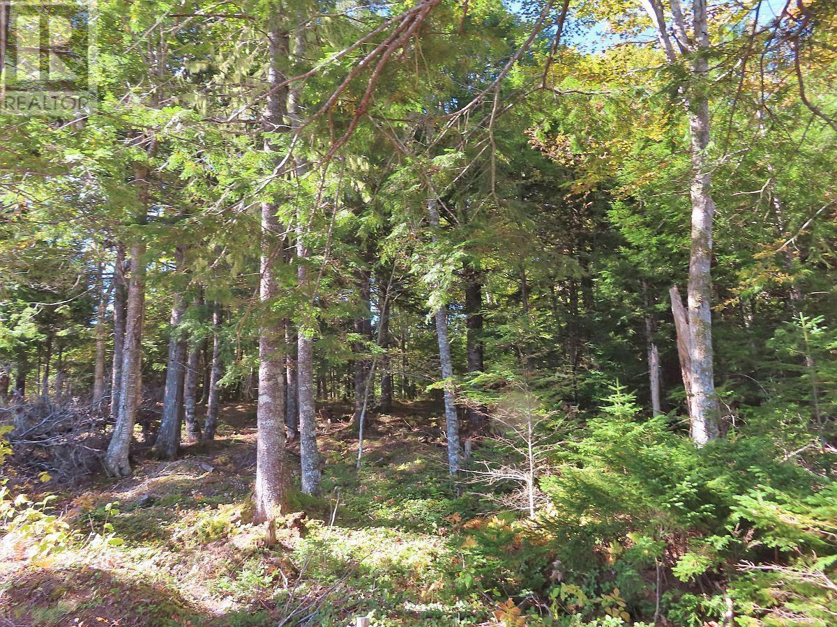 Lorem Ipsum Dolor Si, Malagawatch, Nova Scotia  B0E  - Photo 9 - DEMO25195563