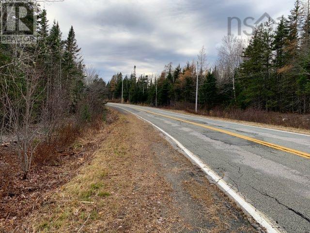 Lot 9 348 Highway, Lower Caledonia, Nova Scotia  B0H 1E0 - Photo 7 - 202224533