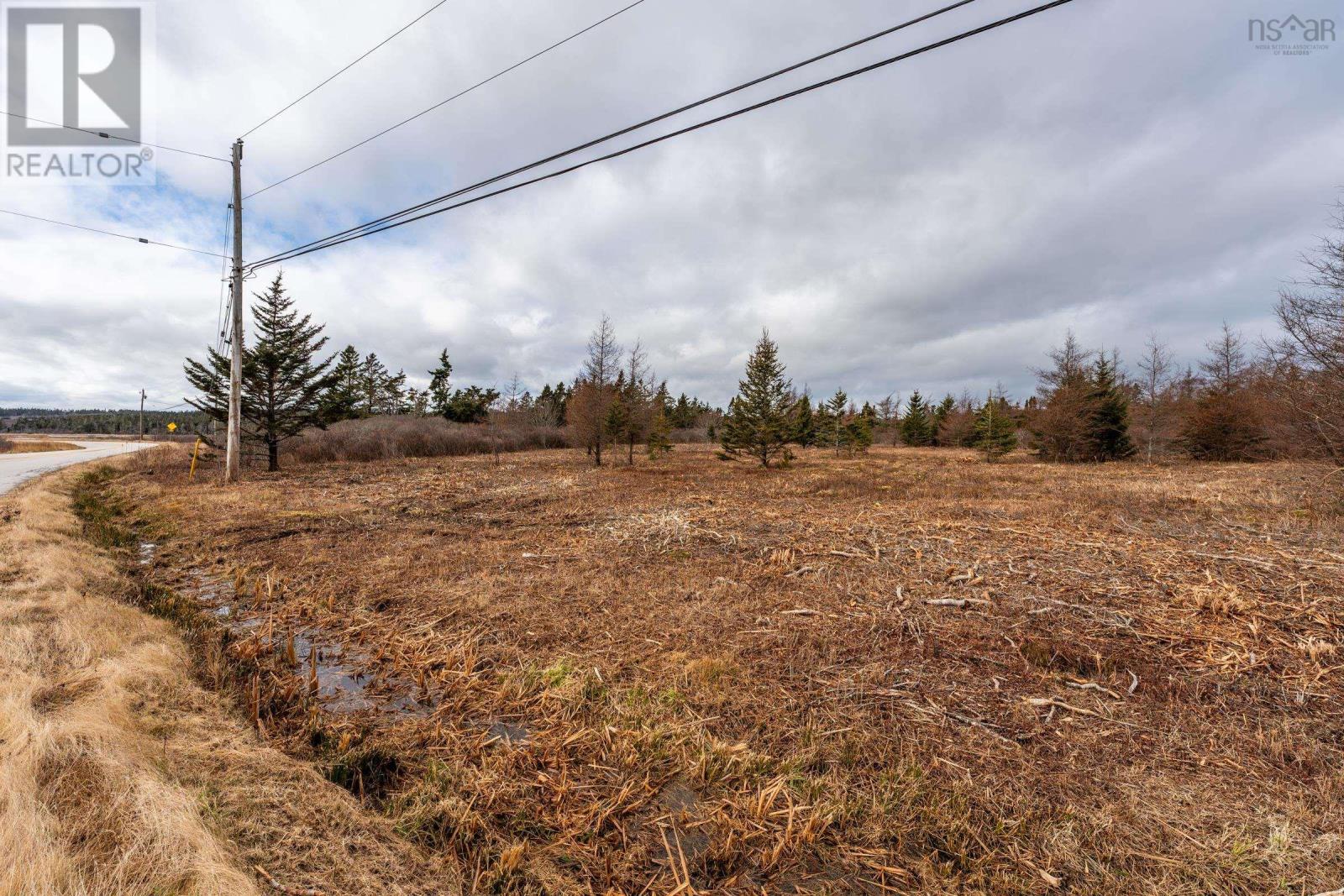 Lorem Ipsum Dolor Sit Amet, Cape St Marys, Nova Scotia  B5A  - Photo 12 - DEMO21562616