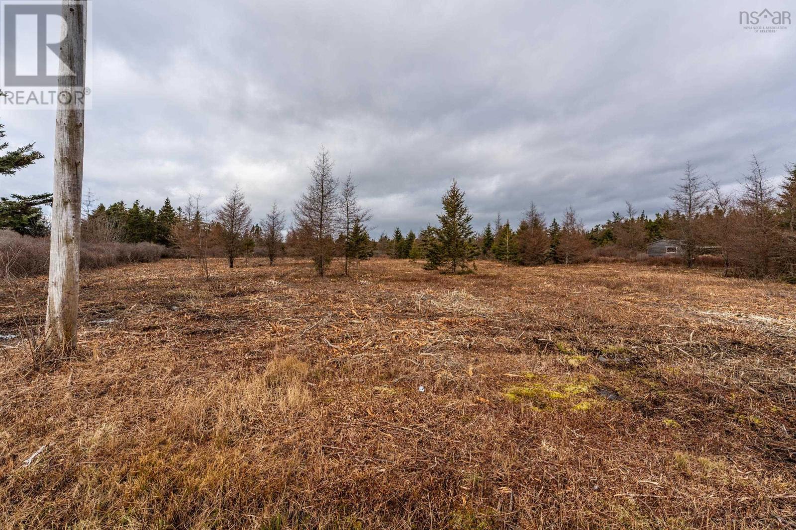 Lorem Ipsum Dolor Sit Amet, Cape St Marys, Nova Scotia  B5A  - Photo 13 - DEMO21562616