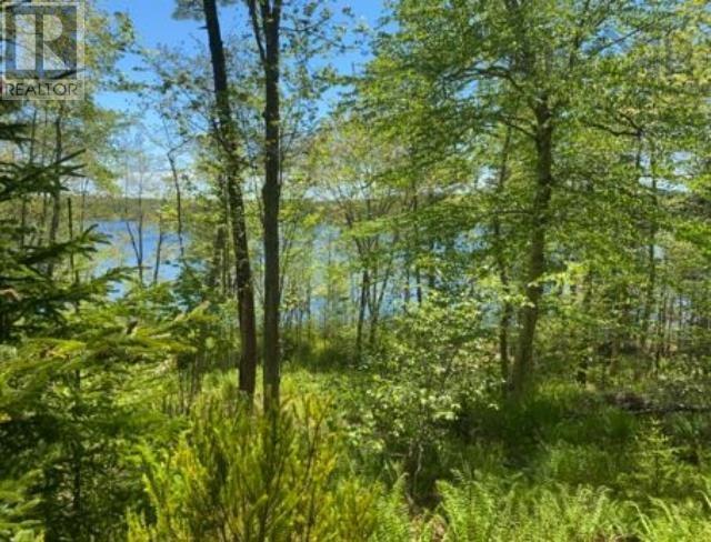 Lot 1 1814 Raynardton Road, Raynardton, Nova Scotia  B0W 3M0 - Photo 2 - 202301212