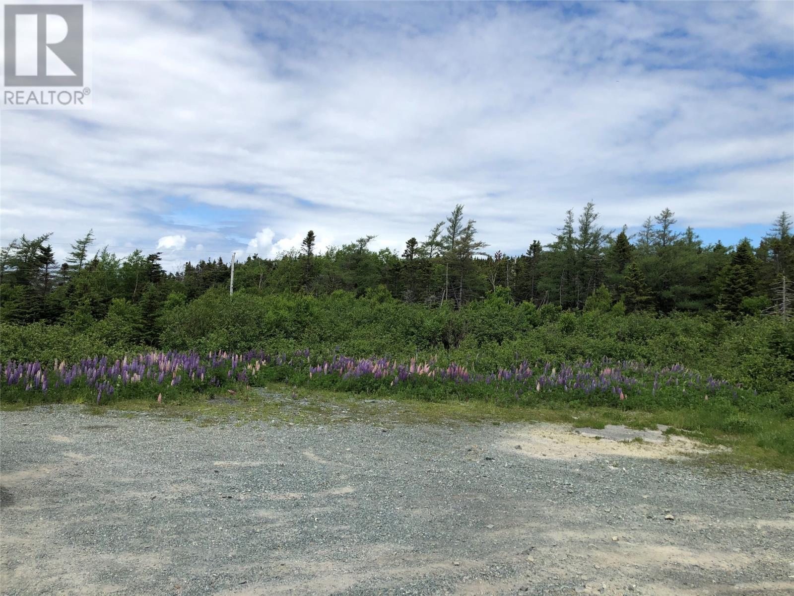 Lorem Ipsum Dolor S, Paradise, Newfoundland & Labrador  A1L  - Photo 8 - DEMO25221663