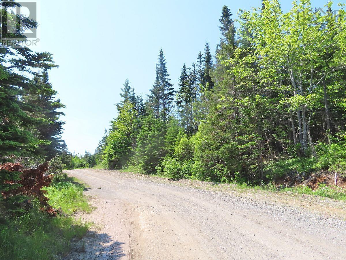 Salmon River Road, Garrets Lake, L'ardoise, Nova Scotia  B0E 3B0 - Photo 25 - 202300909