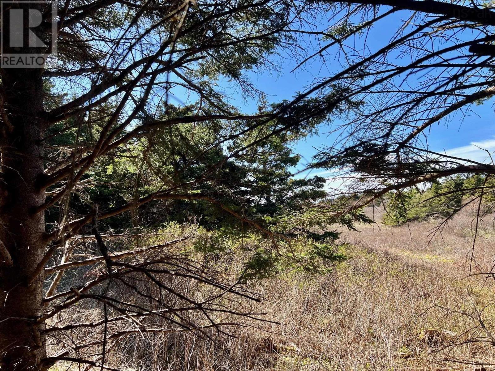 Lorem Ipsum Dolor, Cap Le Moine, Nova Scotia  B0E  - Photo 9 - DEMO25227646