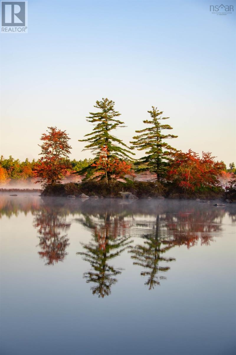Lorem Ipsum Dolor Sit Amet, Co, South Brookfield, Nova Scotia  B0T  - Photo 9 - DEMO25225631