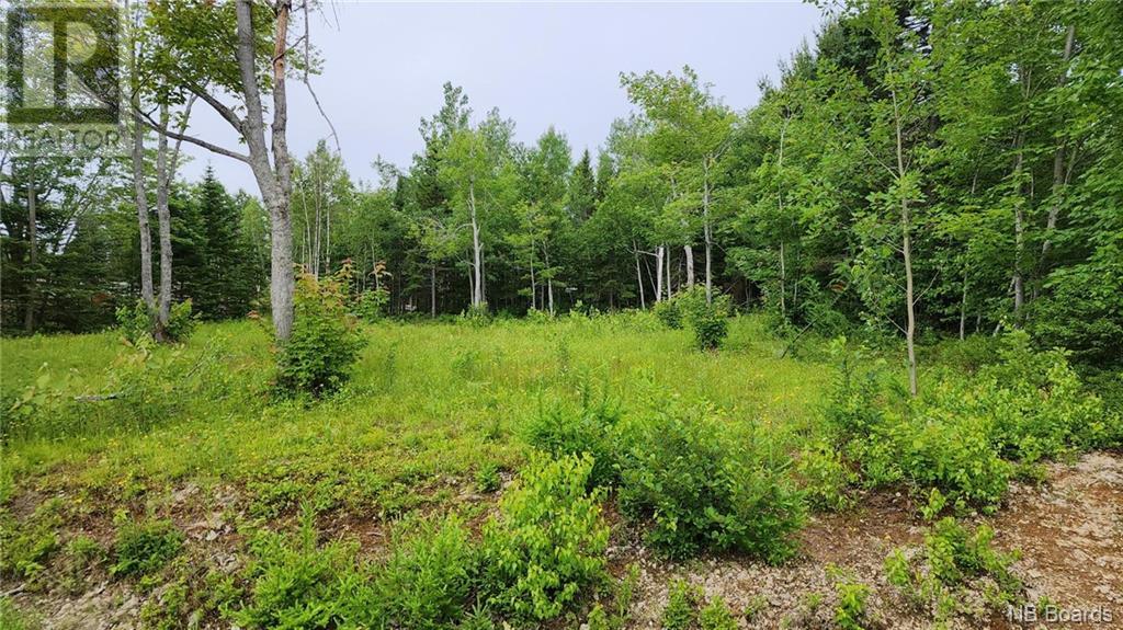 1715 Mc Rue Honoré, Tracadie, New Brunswick  E1X 1A6 - Photo 1 - NB083464