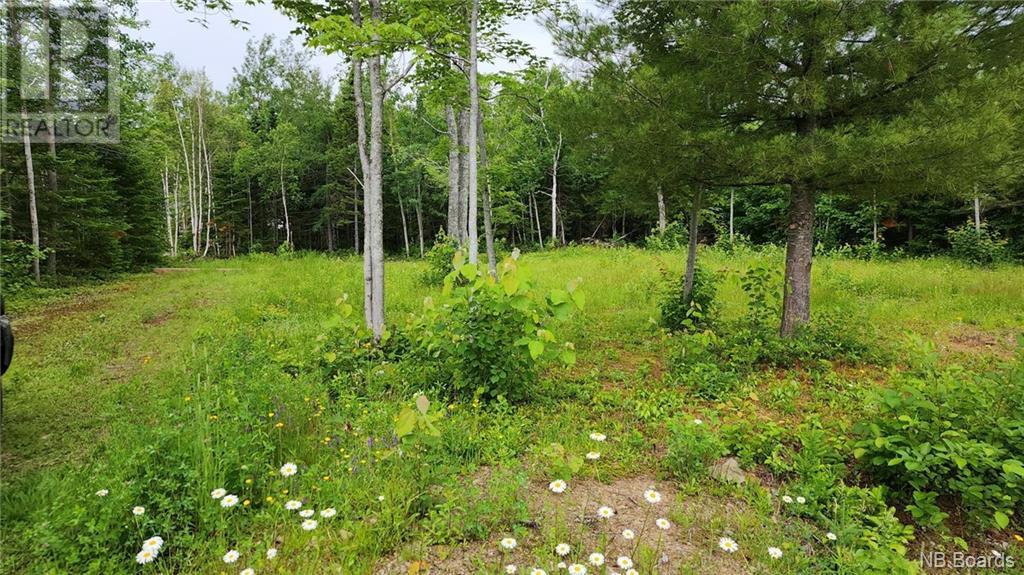 1715 Mc Rue Honoré, Tracadie, New Brunswick  E1X 1A6 - Photo 2 - NB083464