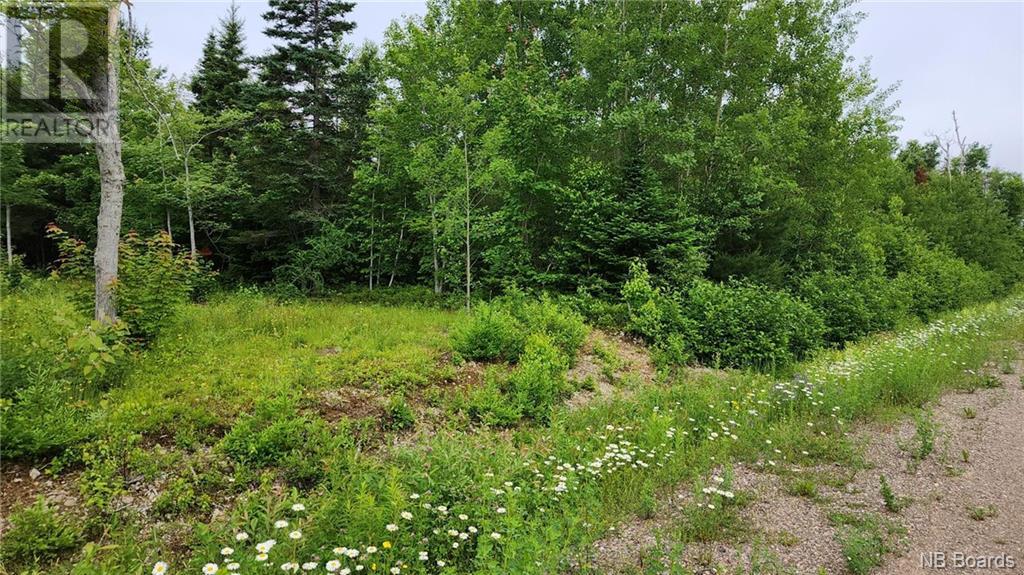 1715 Mc Rue Honoré, Tracadie, New Brunswick  E1X 1A6 - Photo 3 - NB083464