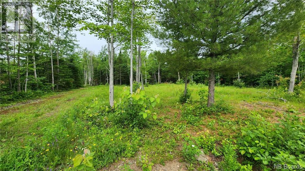 1715 Mc Rue Honoré, Tracadie, New Brunswick  E1X 1A6 - Photo 4 - NB083464