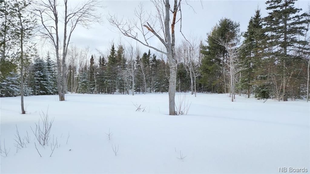 1715 Mc Rue Honoré, Tracadie, New Brunswick  E1X 1A6 - Photo 5 - NB083464