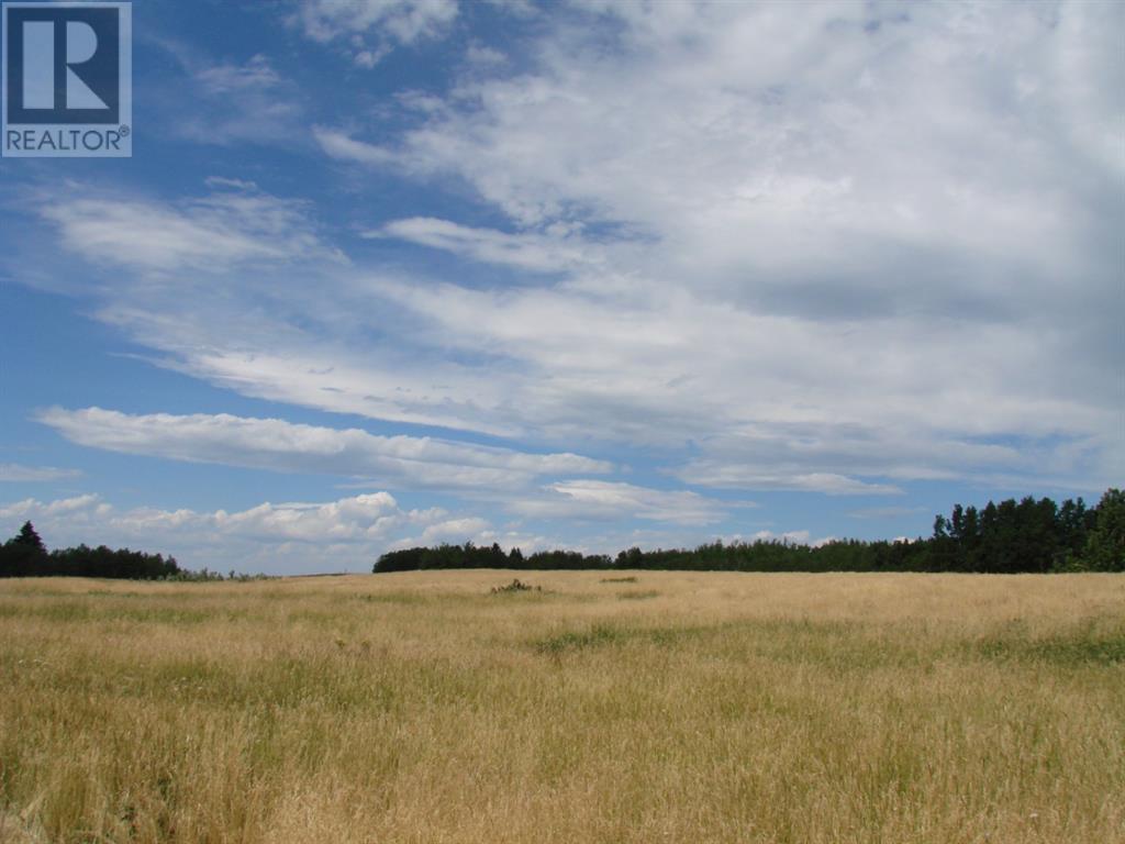 Glenbow Rd. & Mountain Ridge Place Road, Rural Rocky View County, Alberta  T0L 0W0 - Photo 9 - A1245685