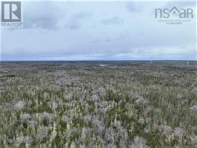 Lorem Ipsum Dolor, Shag Harbour, Nova Scotia  B0W  - Photo 5 - DEMO25176428