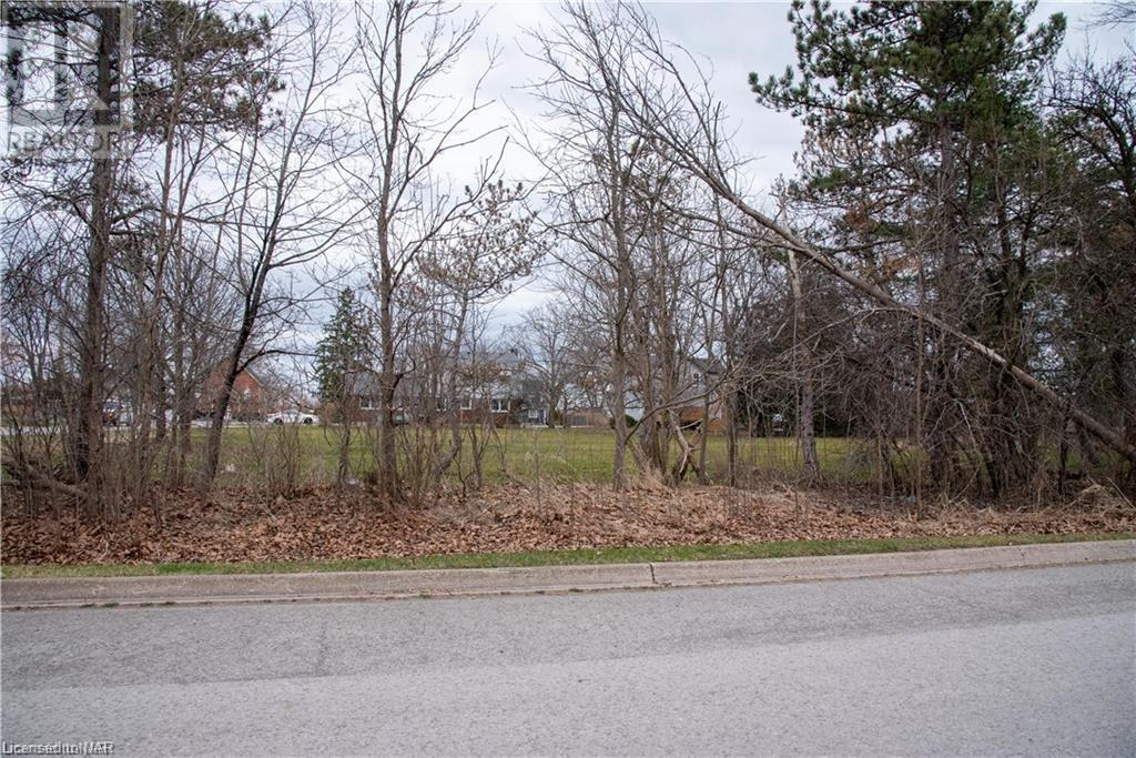 Lot 1 Coral Avenue, Stevensville, Ontario  L0S 1S0 - Photo 2 - 40374616