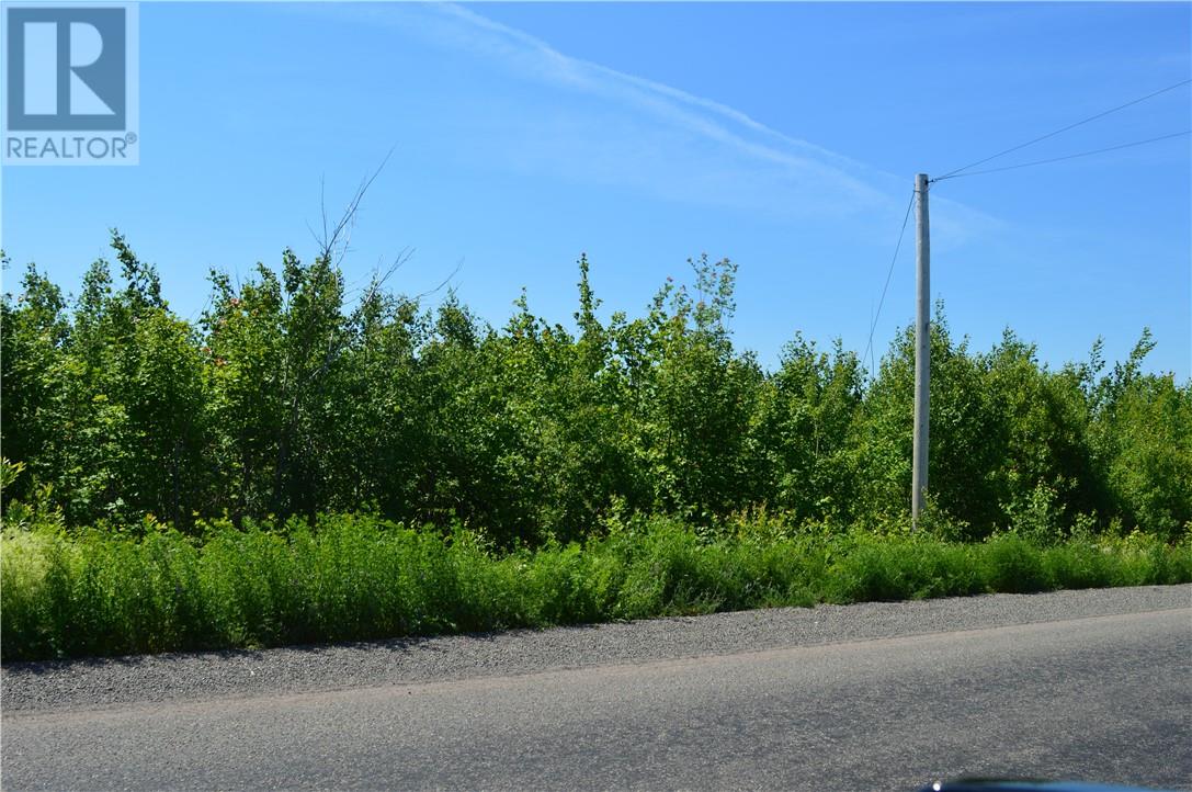 Lot 8 Middlesex RD, colpitts settlement, New Brunswick