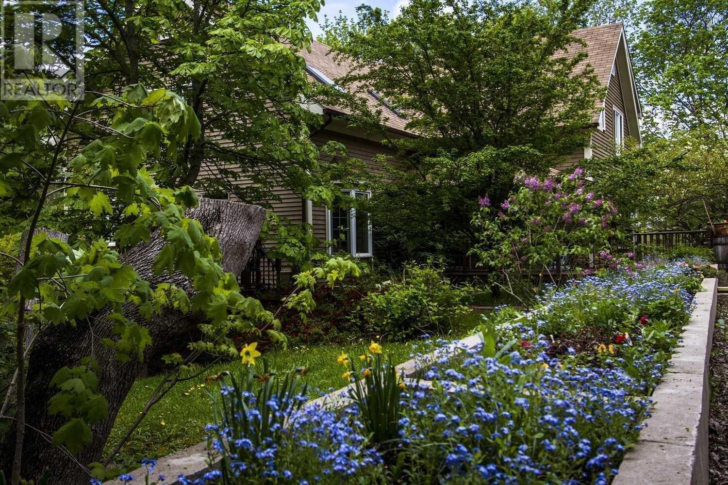 11411 Hwy 19, Mabou, Nova Scotia  B0E 1X0 - Photo 2 - 202300902