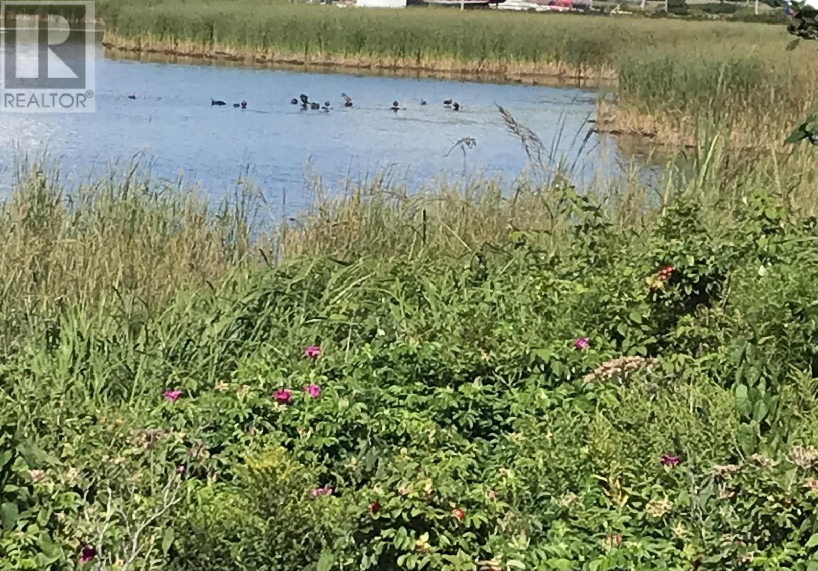 Lorem Ipsum, Meteghan River, Nova Scotia  B0W  - Photo 3 - DEMO23685889