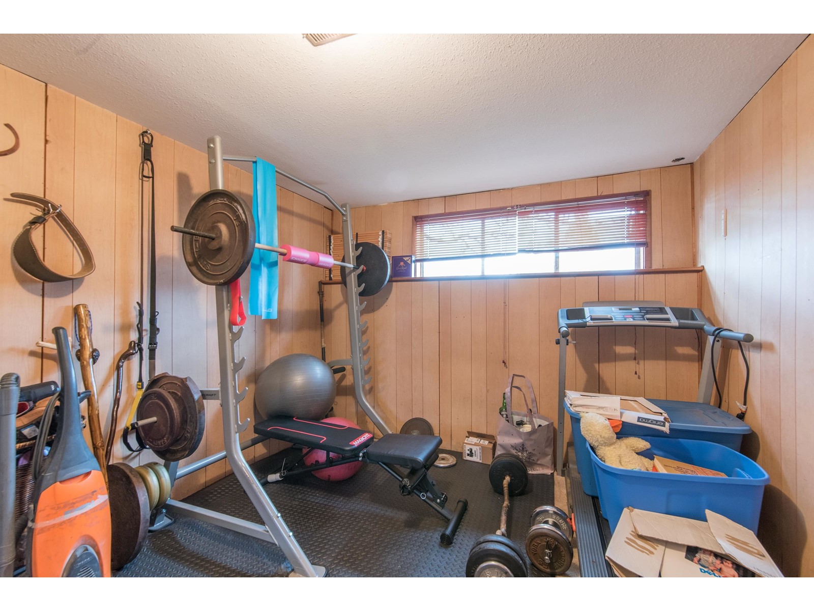 11312 207 Street, Maple Ridge, British Columbia  V2X 1W3 - Photo 15 - R2752091