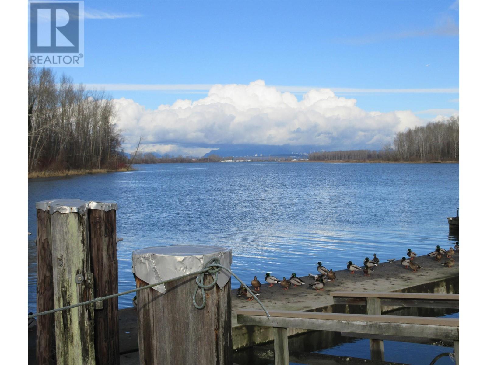 4533 W River Road, Delta, British Columbia  V4K 1R9 - Photo 3 - R2751827