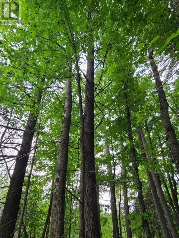 20 Peplinskie Homestead Road, Wilno, Ontario  K0J 2N0 - Photo 18 - 1329454