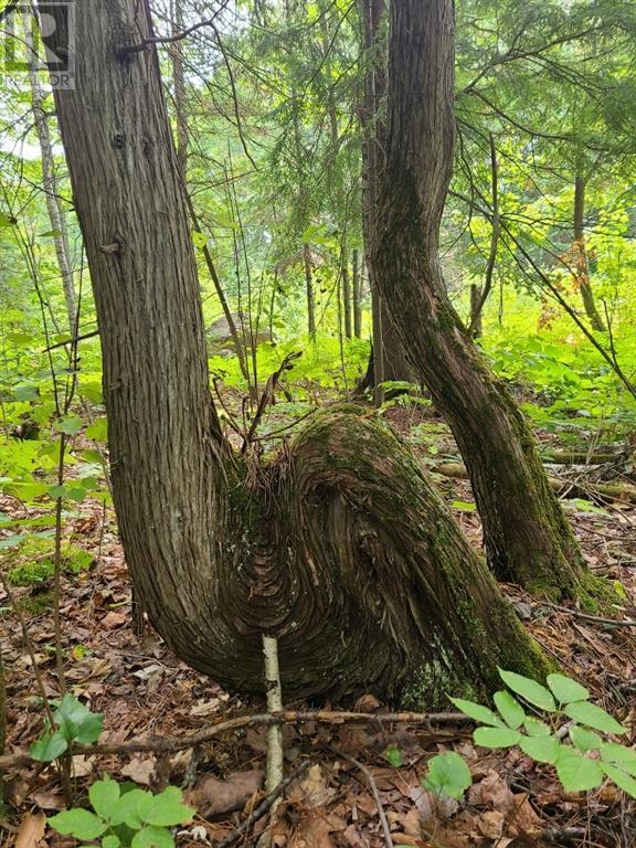 20 Peplinskie Homestead Road, Wilno, Ontario  K0J 2N0 - Photo 20 - 1329454