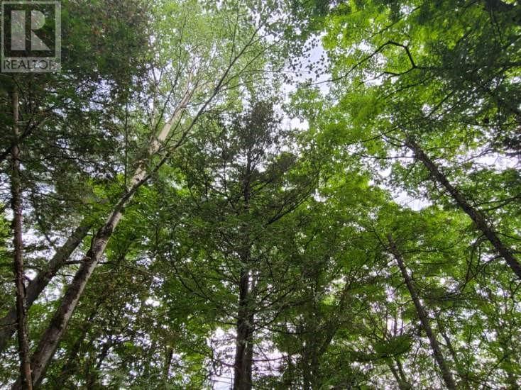 20 Peplinskie Homestead Road, Wilno, Ontario  K0J 2N0 - Photo 4 - 1329454