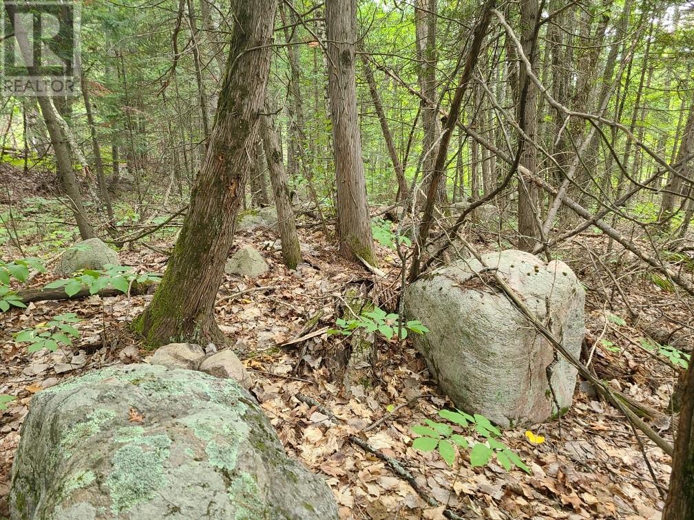 20 Peplinskie Homestead Road, Wilno, Ontario  K0J 2N0 - Photo 6 - 1329454