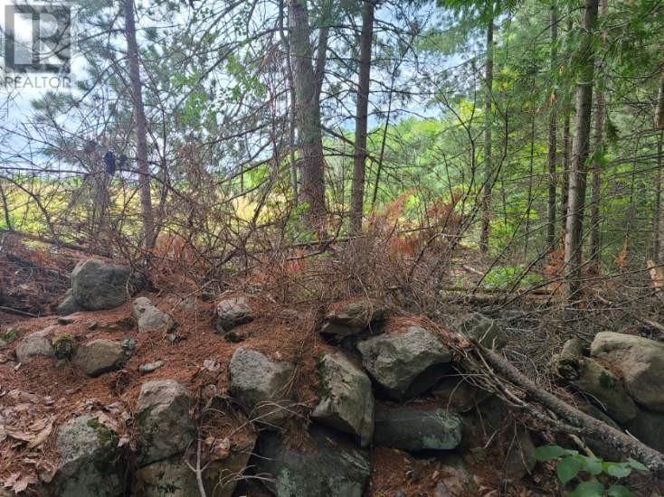 20 Peplinskie Homestead Road, Wilno, Ontario  K0J 2N0 - Photo 7 - 1329454