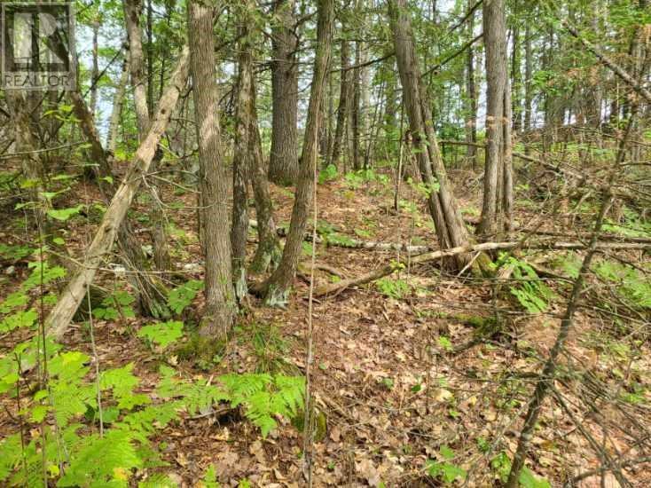 20 Peplinskie Homestead Road, Wilno, Ontario  K0J 2N0 - Photo 8 - 1329454