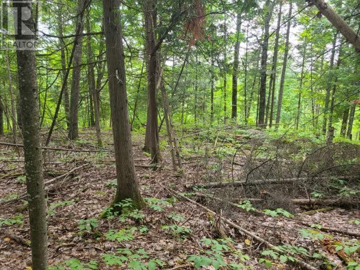 20 Peplinskie Homestead Road, Wilno, Ontario  K0J 2N0 - Photo 9 - 1329454