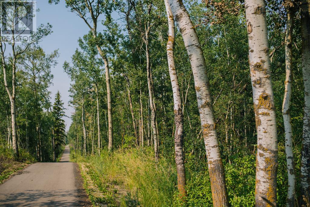 6, 28124 Township Road 412, Rural Lacombe County, Alberta  T4L 2N3 - Photo 23 - A2023724