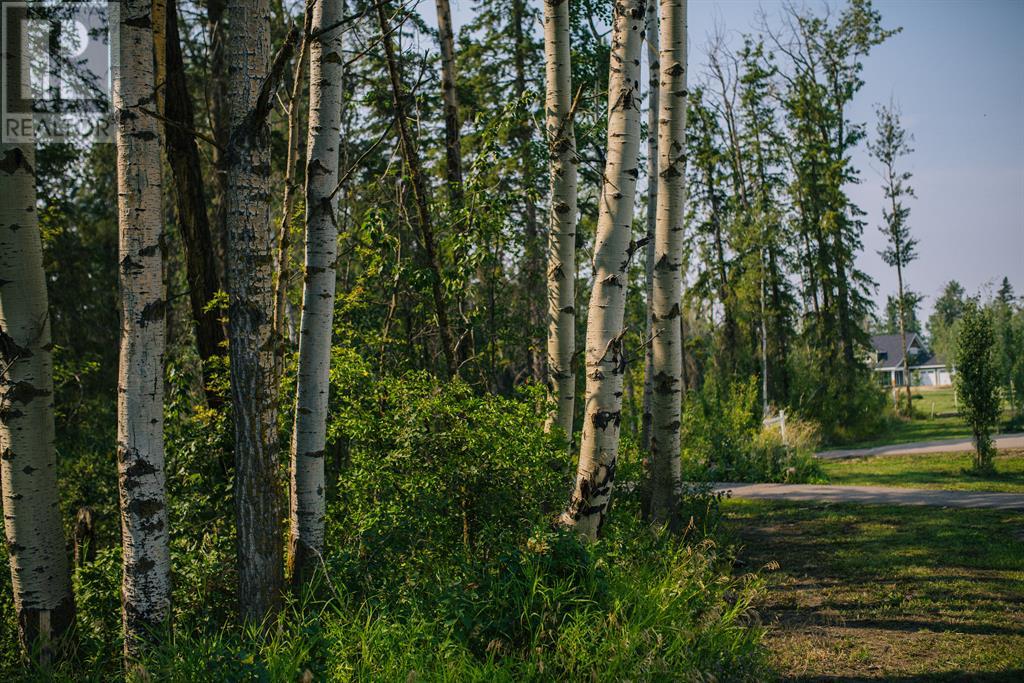 6, 28124 Township Road 412, Rural Lacombe County, Alberta  T4L 2N3 - Photo 18 - A2023724