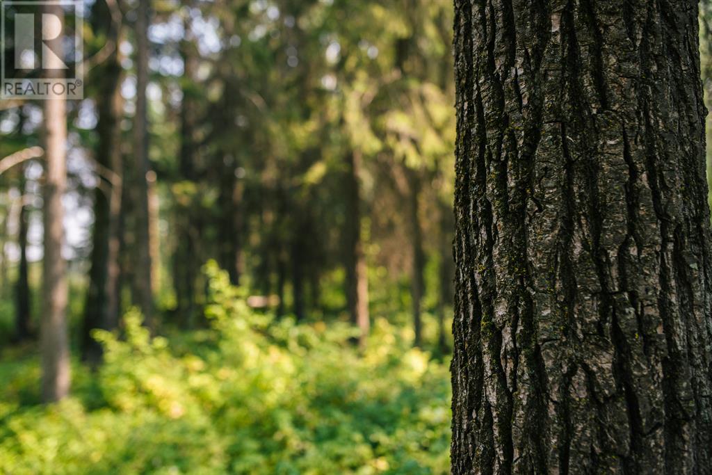 6, 28124 Township Road 412, Rural Lacombe County, Alberta  T4L 2N3 - Photo 21 - A2023724