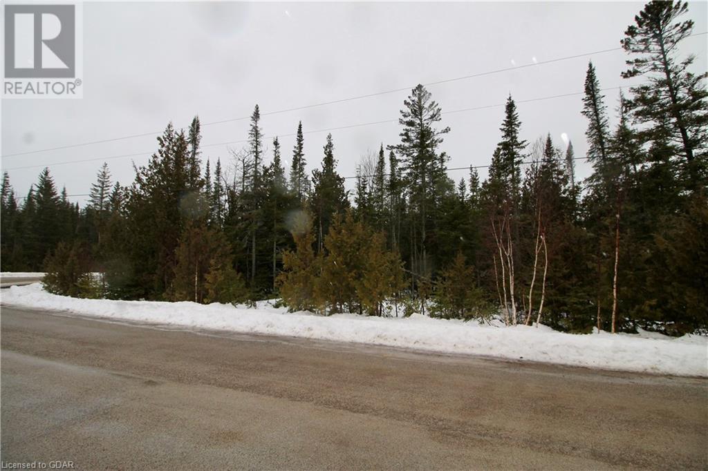 Lorem Ipsum Dolo, Tobermory, Ontario  N0H  - Photo 2 - DEMO25270662