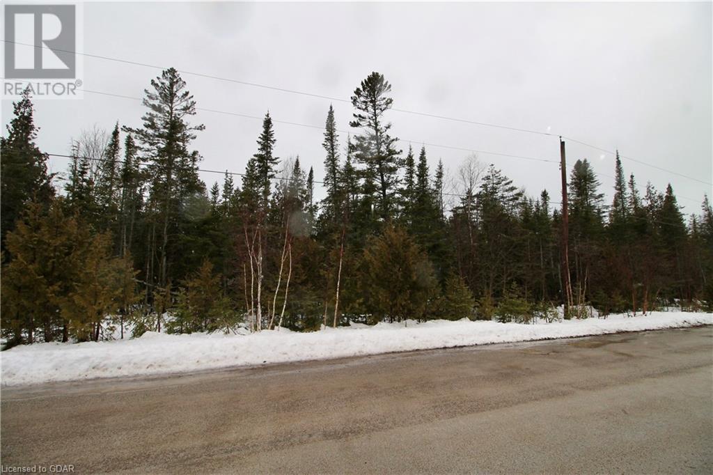 Lorem Ipsum Dolo, Tobermory, Ontario  N0H  - Photo 3 - DEMO25270662
