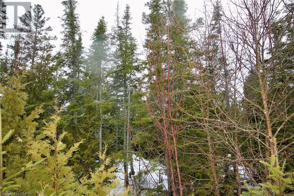 Lorem Ipsum Dolo, Tobermory, Ontario  N0H  - Photo 6 - DEMO25270662