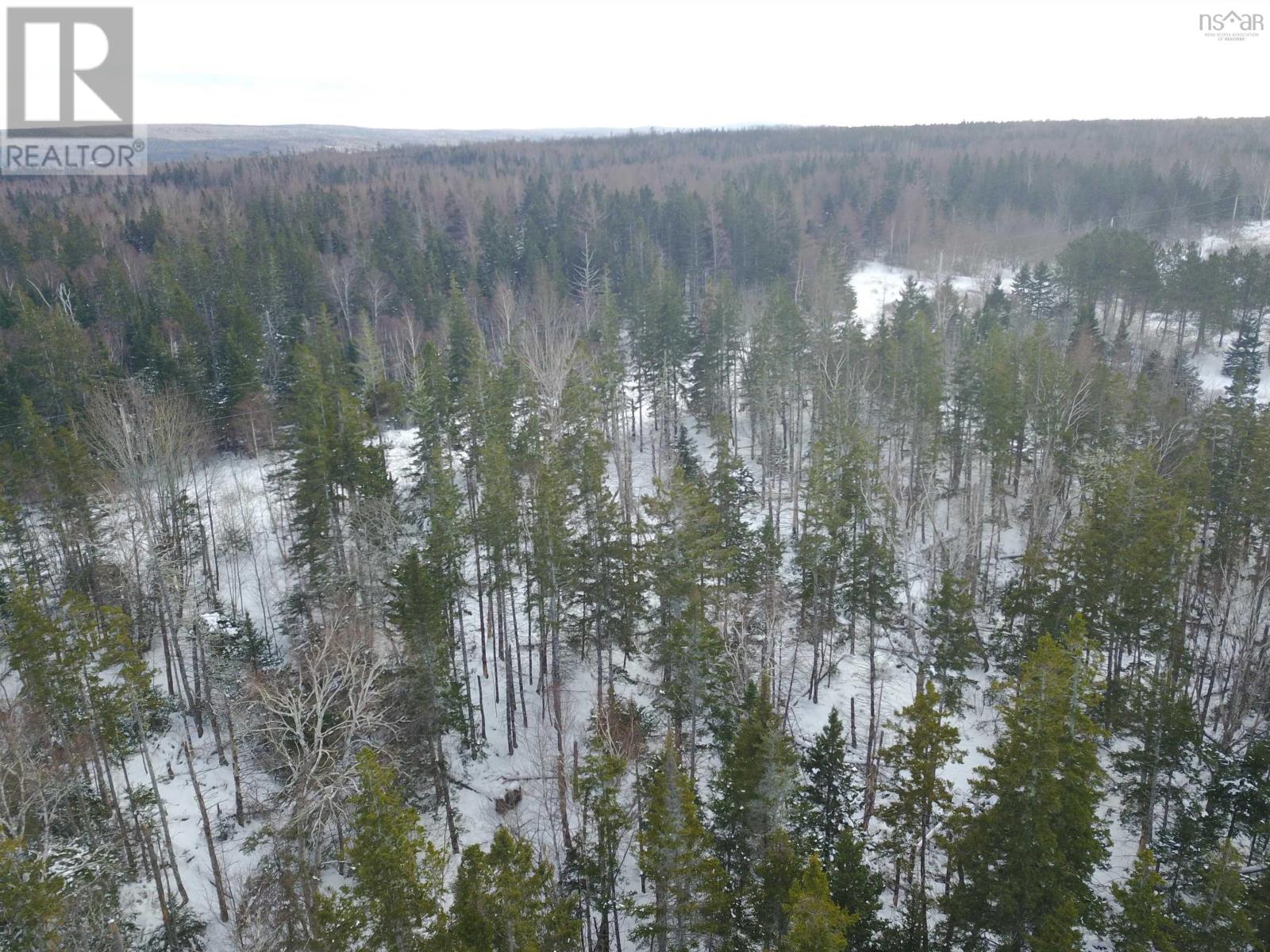 Lorem Ipsum Dolor Sit Amet, Cons, South Cove, Nova Scotia  B0E  - Photo 12 - DEMO25275725