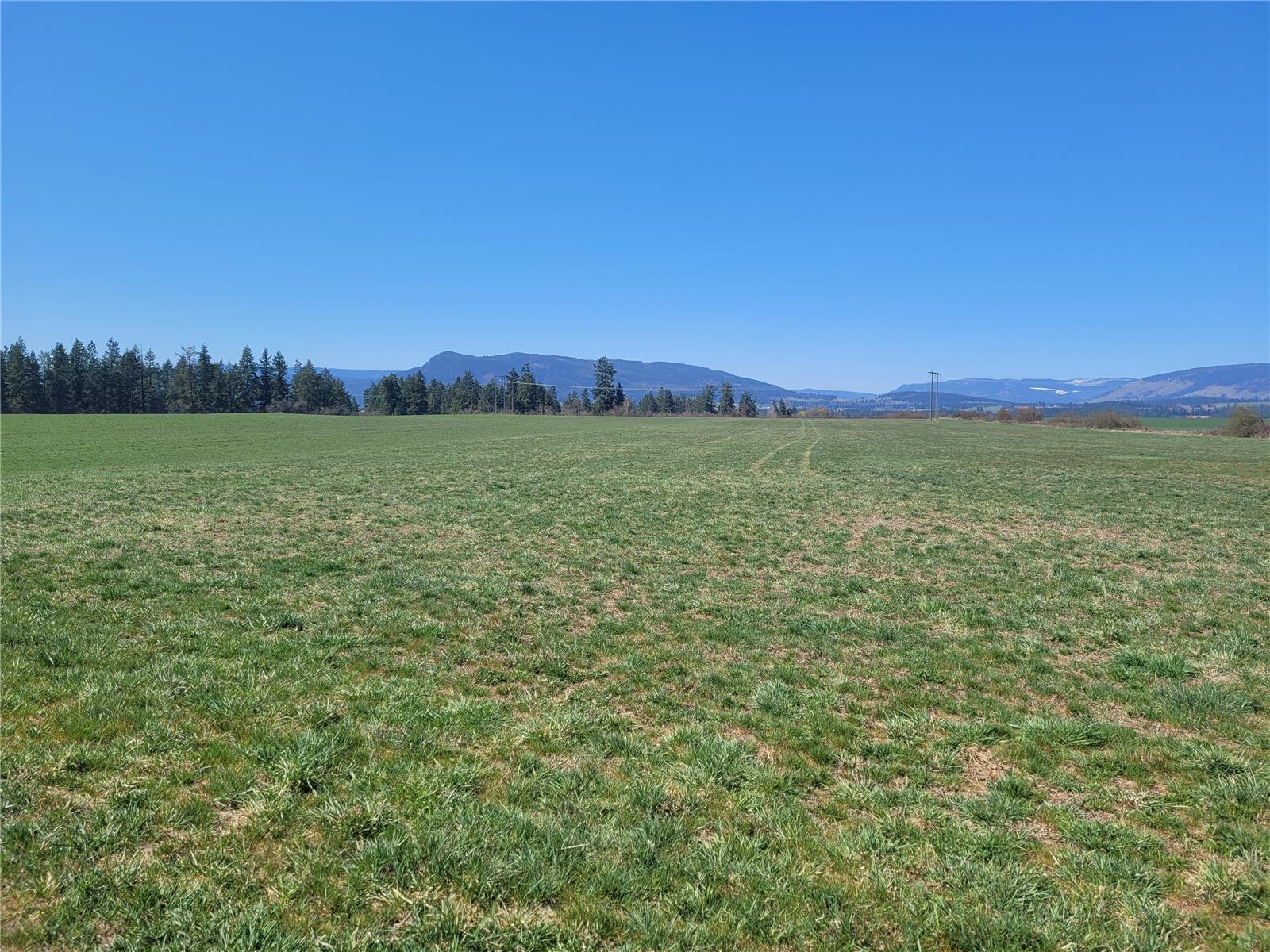 Lot 1 Marshall Road, spallumcheen, British Columbia