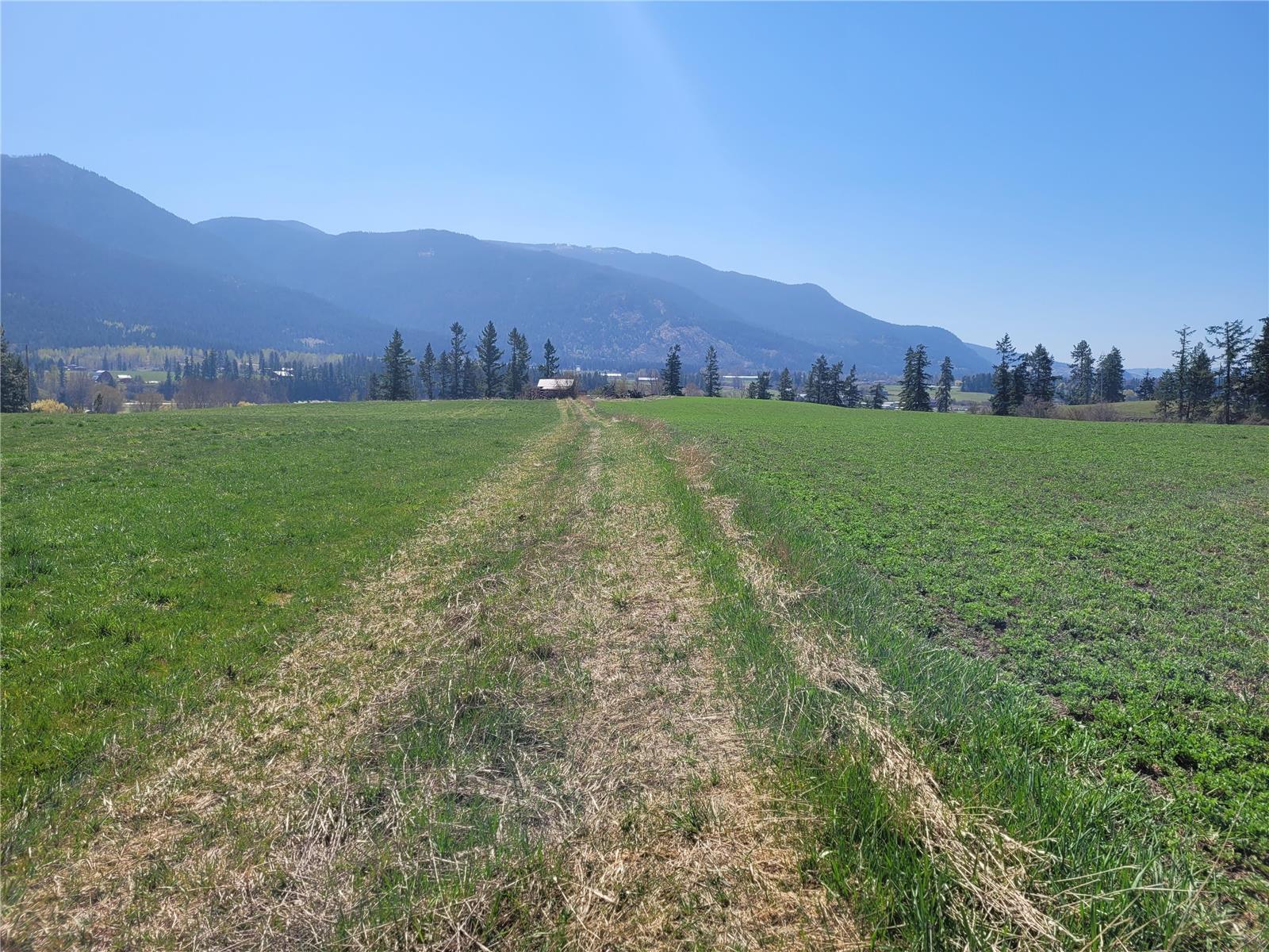 Lot 1 Marshall Road, Spallumcheen, British Columbia  V0E 1V0 - Photo 10 - 10268919