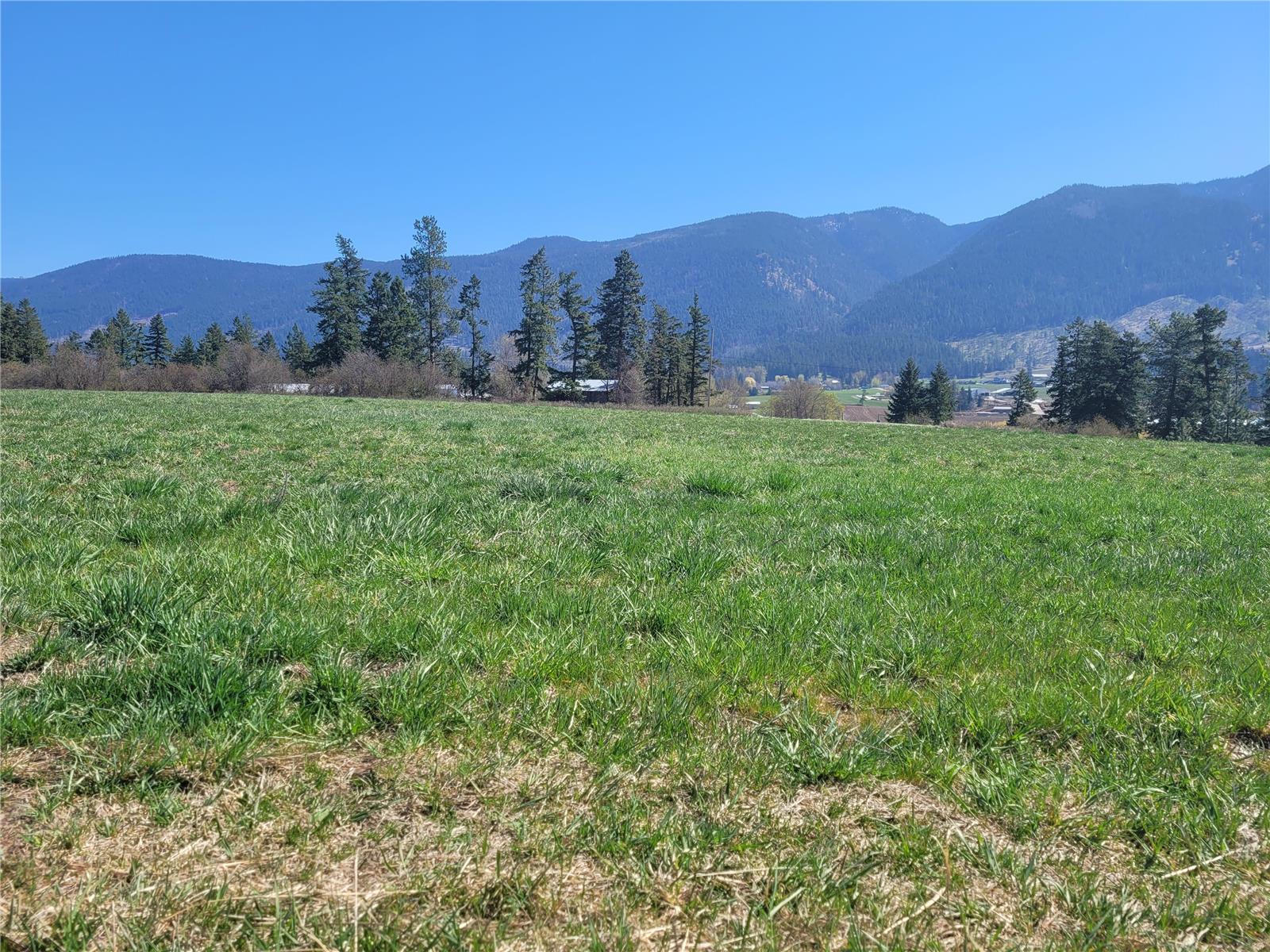 Lot 1 Marshall Road, Spallumcheen, British Columbia  V0E 1V0 - Photo 15 - 10268919