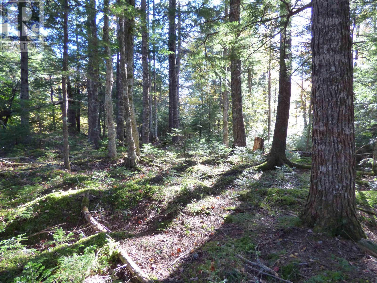 Lot 3 New Ross Road, Leminster, Nova Scotia  B0N 2T0 - Photo 9 - 202224563