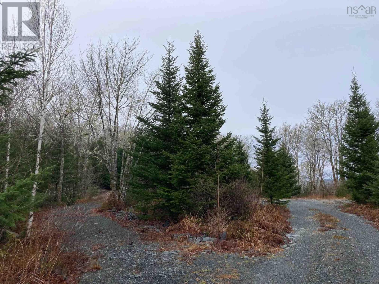 Lot 52 Riverside Drive, Goldenville, Nova Scotia  B0J 3C0 - Photo 11 - 202129137