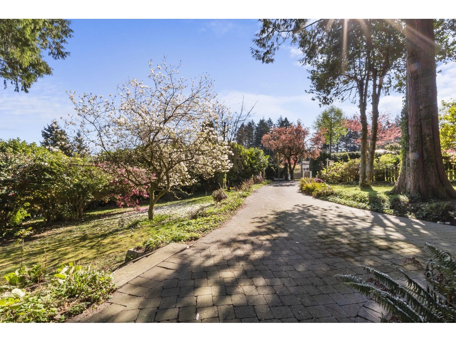 1611 Drummond Drive, Vancouver, British Columbia  V6T 1B7 - Photo 23 - R2729300