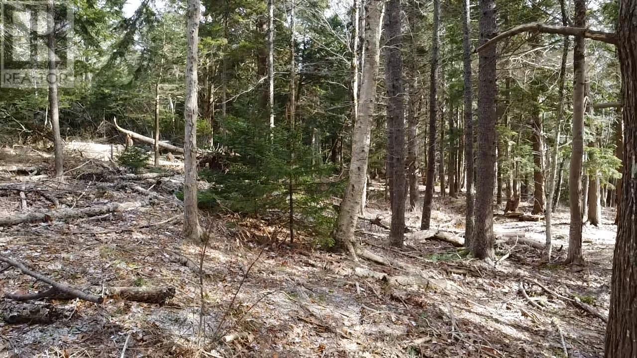 976 Fall River Road, Fall River, Nova Scotia  B2T 1E9 - Photo 1 - 202302189