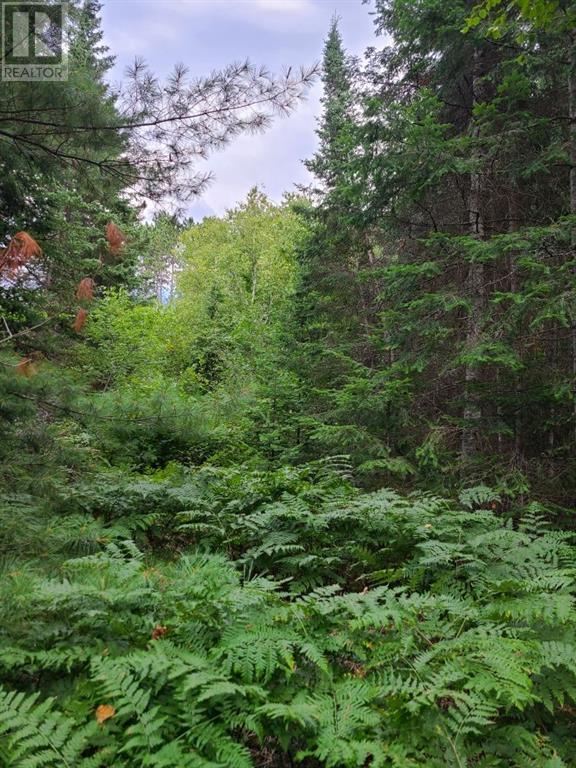 Pt Lt 8 Old Barrys Bay Road, Combermere, Ontario  K0J 1L0 - Photo 26 - 1330355